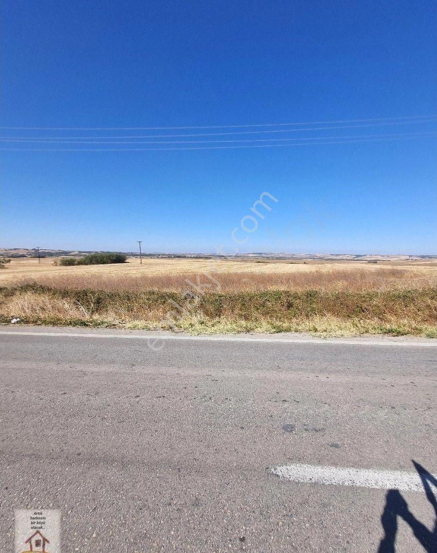 Edirne Uzunköprü Byaramlı Ana Yoluna 55 M Cepheli 1383 M Müstakil Tapulu - Görsel 5