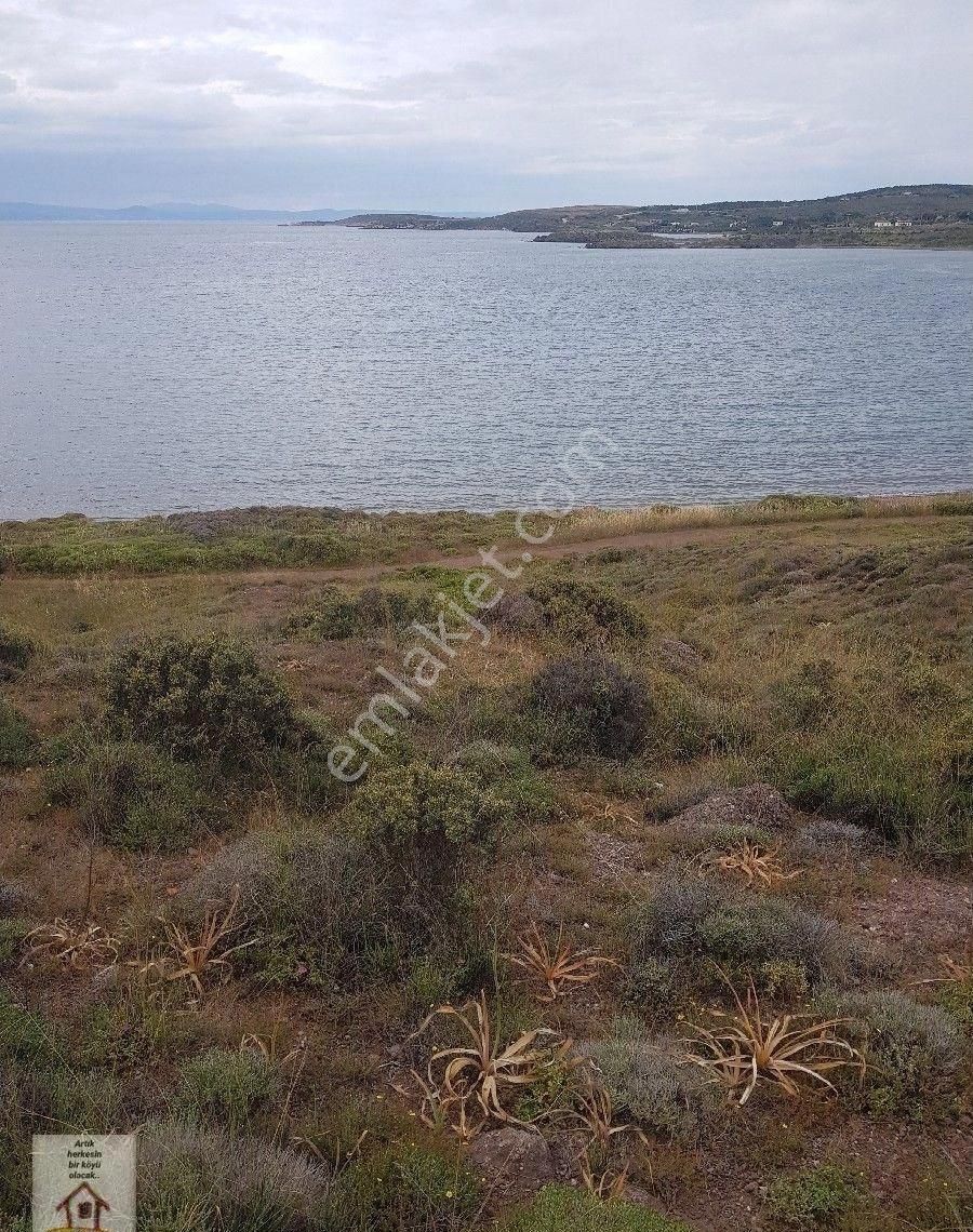 Çanakkale Bozcaada Müstakli 225 M Arsa Deniz Kenarı - Görsel 15