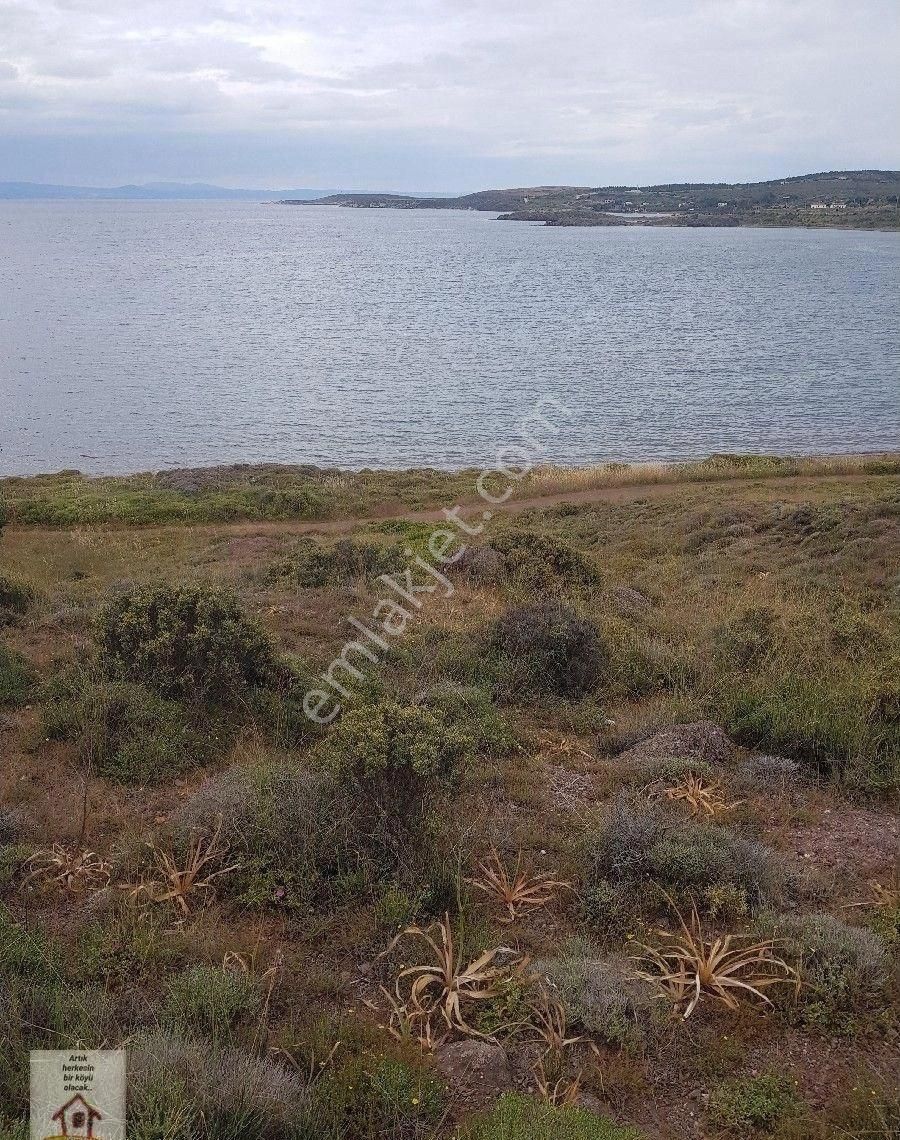 Çanakkale Bozcaada Müstakli 225 M Arsa Deniz Kenarı - Görsel 18