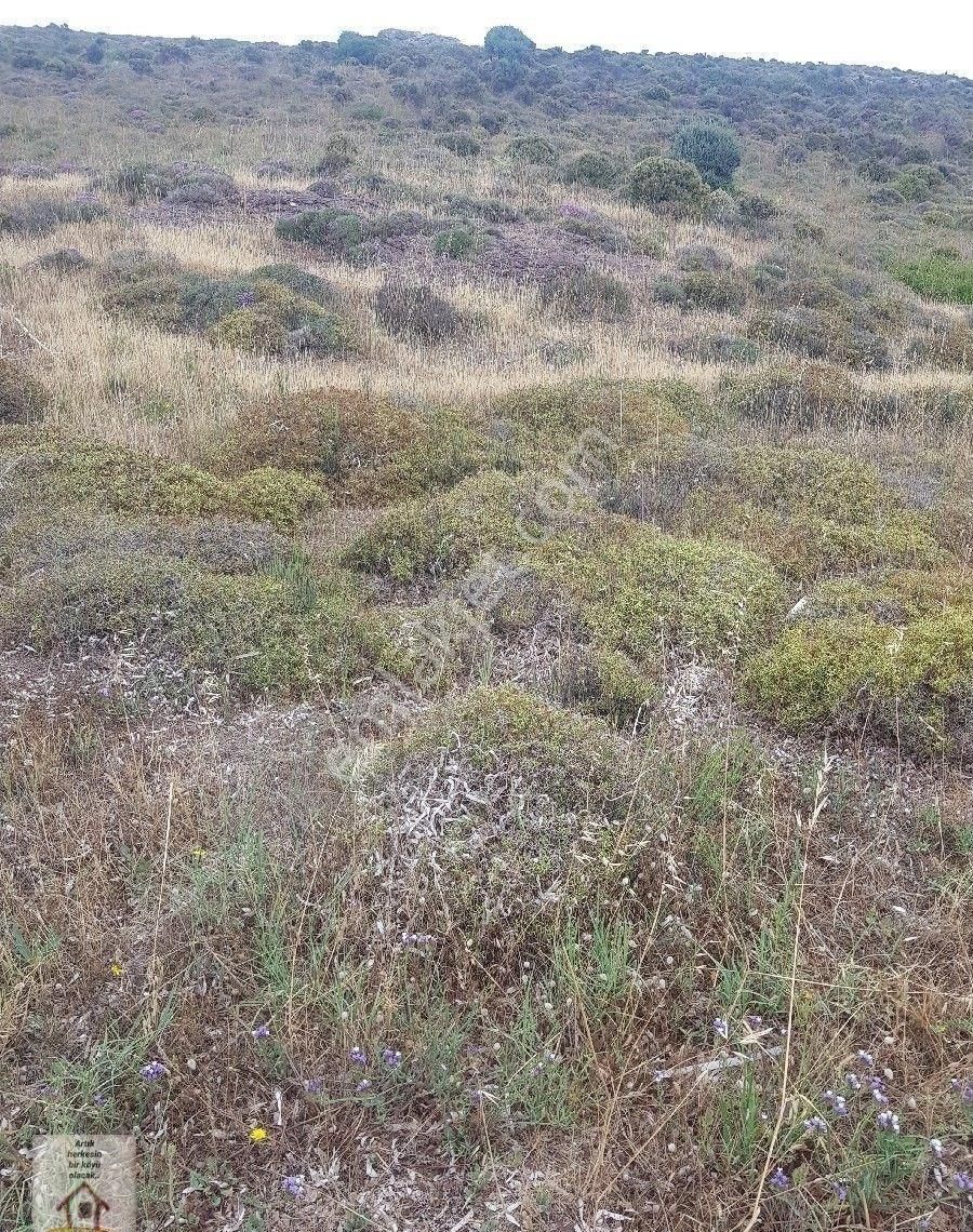 Çanakkale Bozcaada Müstakli 225 M Arsa Deniz Kenarı - Görsel 8