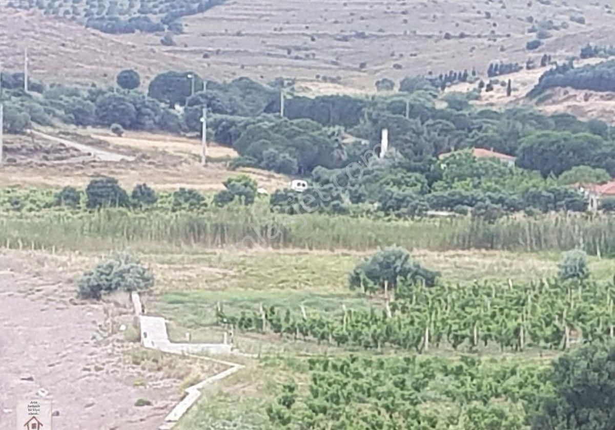 Çanakkale Bozcaada Müstakli 225 M Arsa Deniz Kenarı - Görsel 4