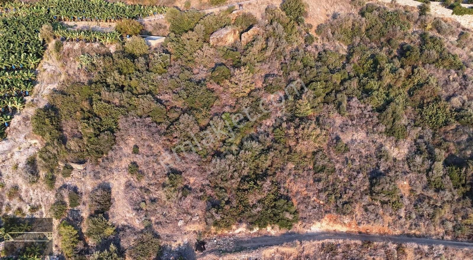 Zeytinada Mahallesinde Denize 50 Metre 3 Dönüm 2 Parsel - Görsel 6