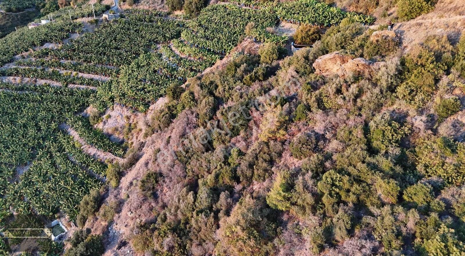 Zeytinada Mahallesinde Denize 50 Metre 3 Dönüm 2 Parsel - Görsel 7