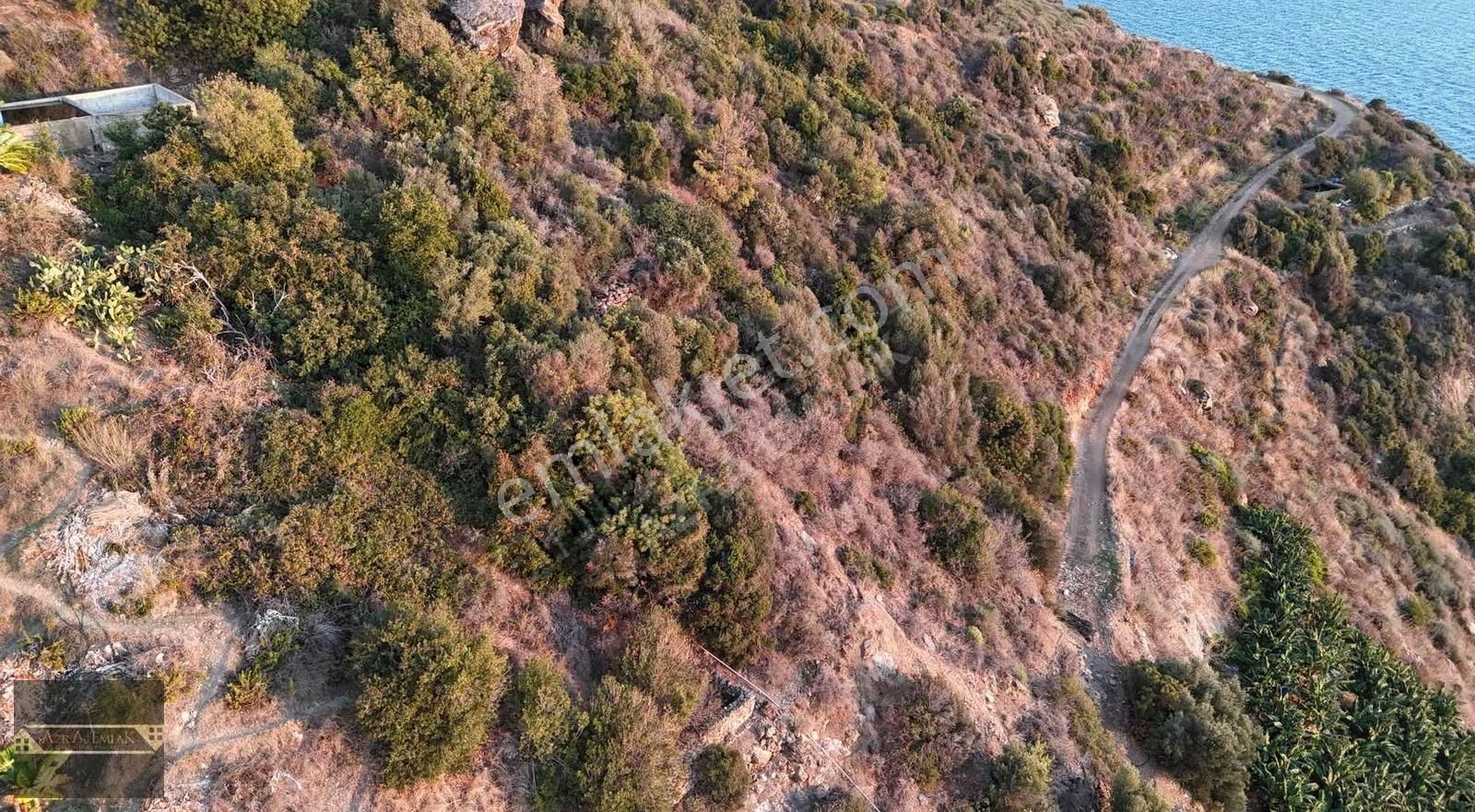 Zeytinada Mahallesinde Denize 50 Metre 3 Dönüm 2 Parsel - Görsel 9