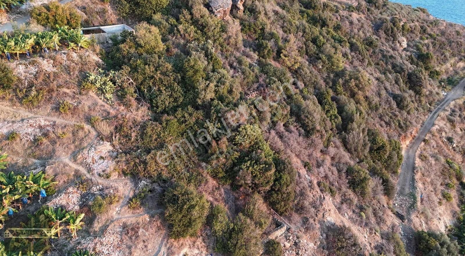 Zeytinada Mahallesinde Denize 50 Metre 3 Dönüm 2 Parsel - Görsel 2