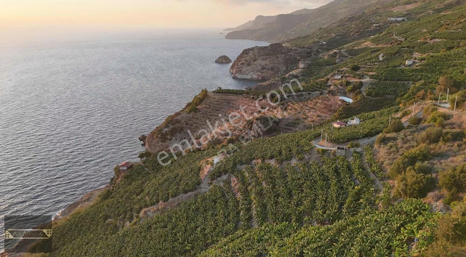 Zeytinada Mahallesinde Denize 50 Metre 3 Dönüm 2 Parsel - Görsel 8