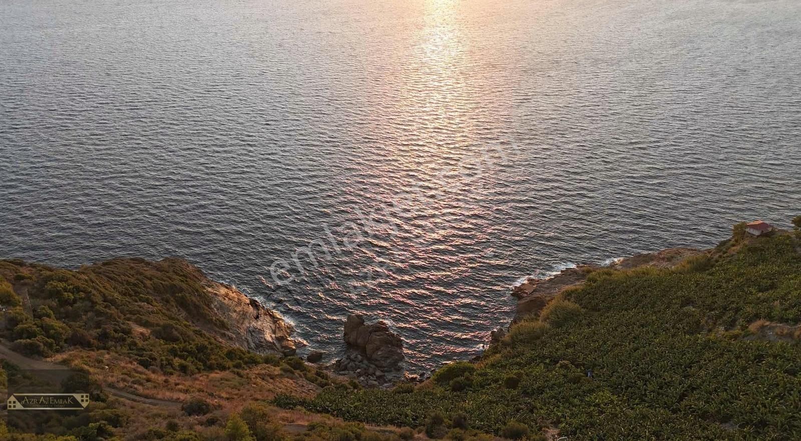 Zeytinada Mahallesinde Denize 50 Metre 3 Dönüm 2 Parsel - Görsel 4