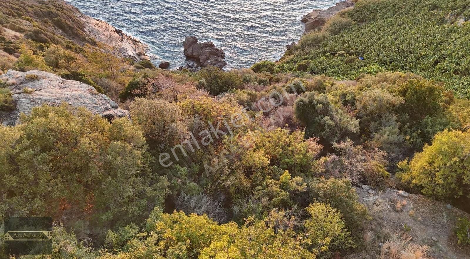 Zeytinada Mahallesinde Denize 50 Metre 3 Dönüm 2 Parsel