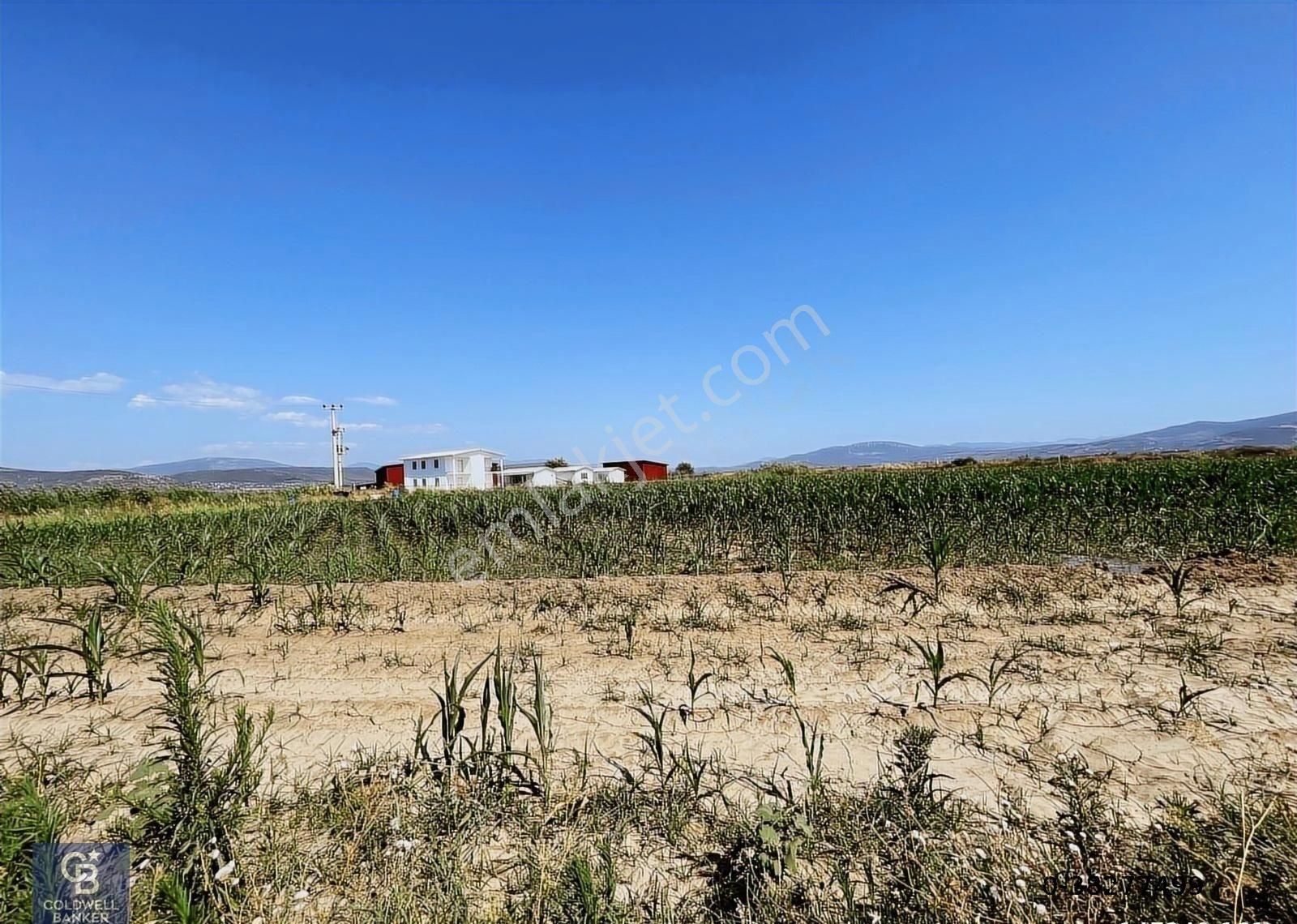 Milas Koru'da 7.5 Dönüm Yola Sıfır Tarla - Görsel 10