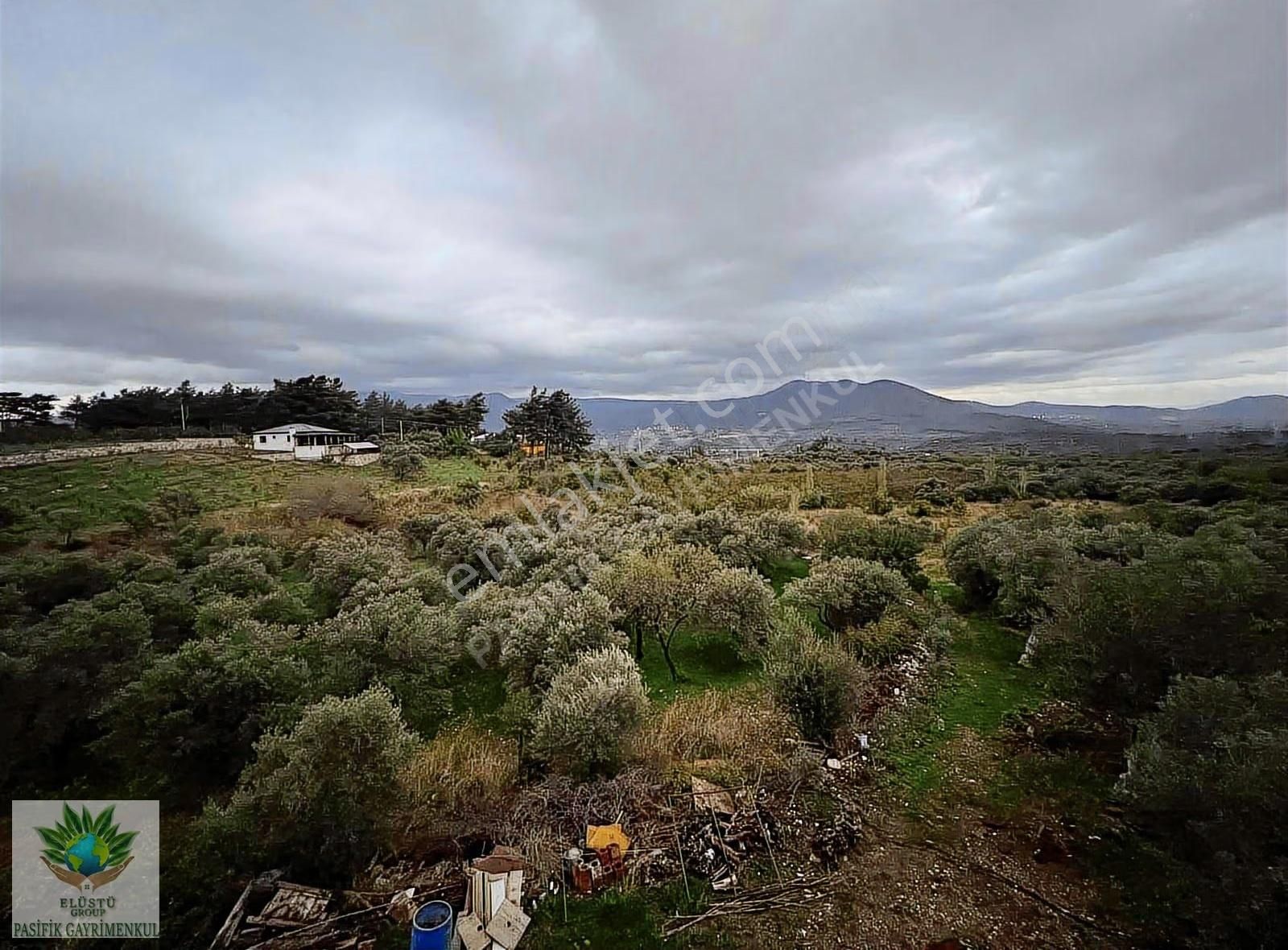 Pasifikten Kemalpaşada Satılık 4.280 M² Arazi Ve Tripleks 2 Ev - Görsel 24