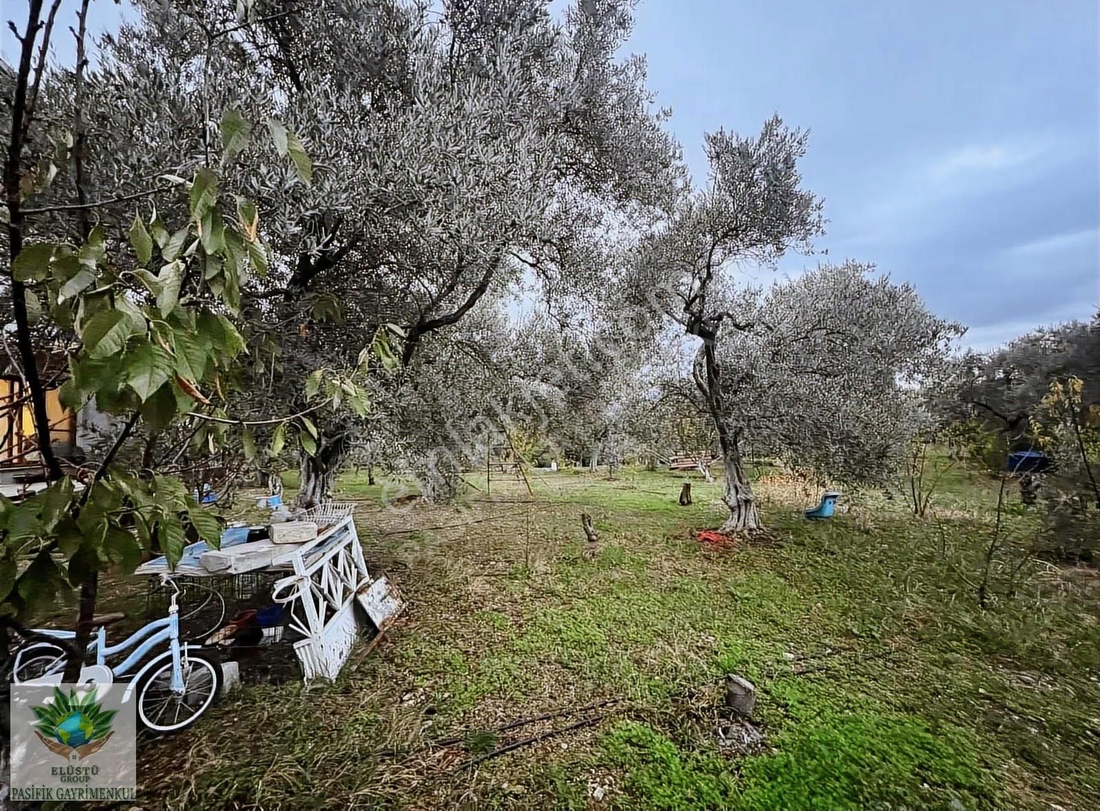 Pasifikten Kemalpaşada Satılık 4.280 M² Arazi Ve Tripleks 2 Ev - Görsel 10