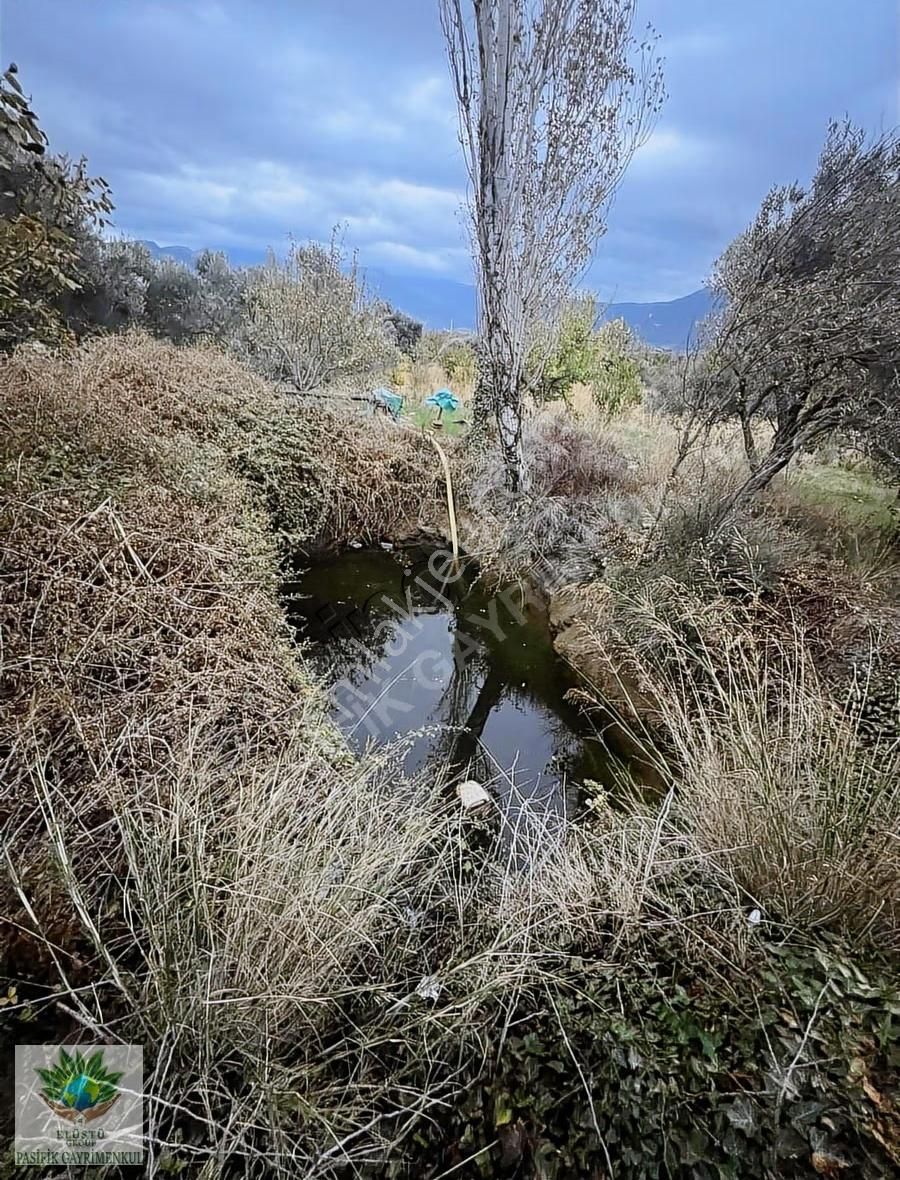 Pasifikten Kemalpaşada Satılık 4.280 M² Arazi Ve Tripleks 2 Ev - Görsel 7