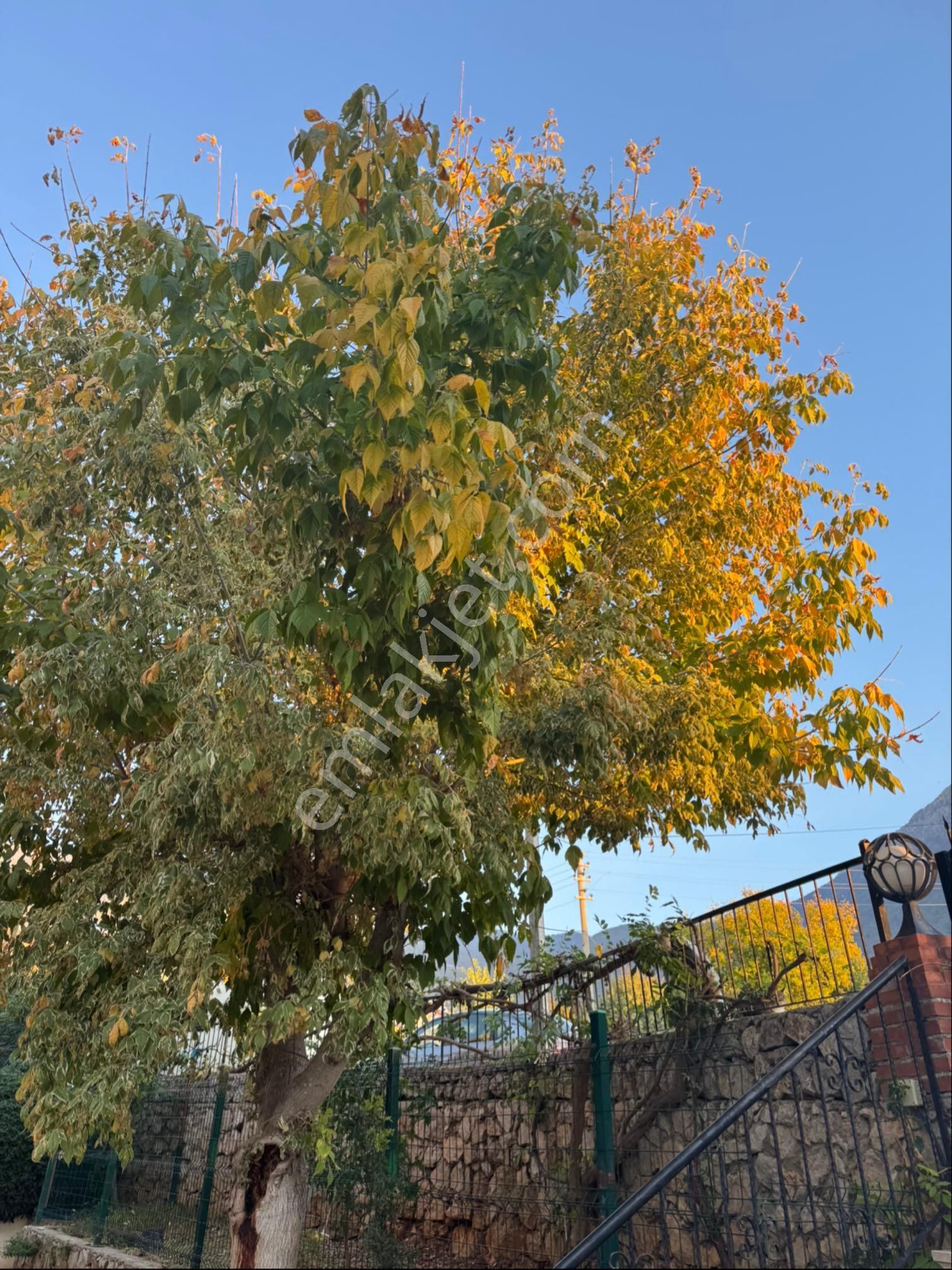 Ölüdeniz 3+1 Satılık !!fırsat!! - Görsel 11