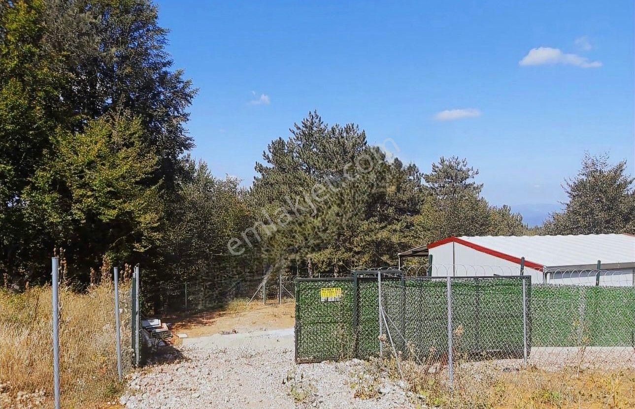 Kestel Orhaniye'de Prefabrik Evli Hobi Bahçesi - Görsel 11