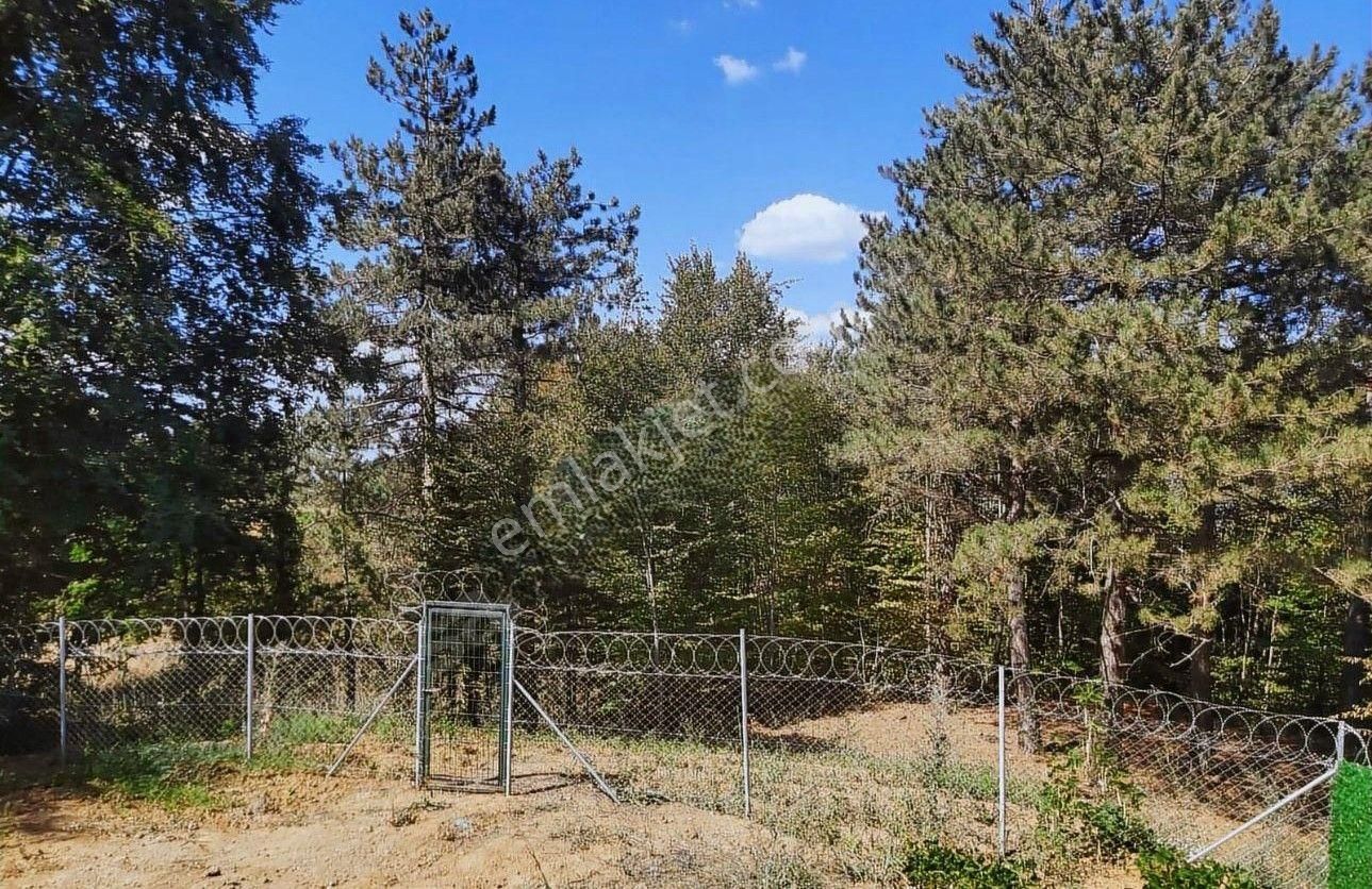 Kestel Orhaniye'de Prefabrik Evli Hobi Bahçesi - Görsel 12