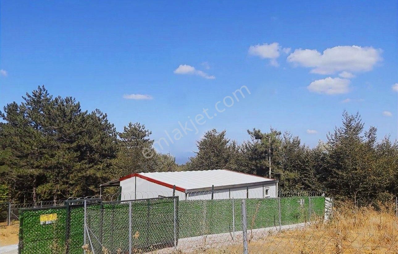 Kestel Orhaniye'de Prefabrik Evli Hobi Bahçesi - Görsel 10