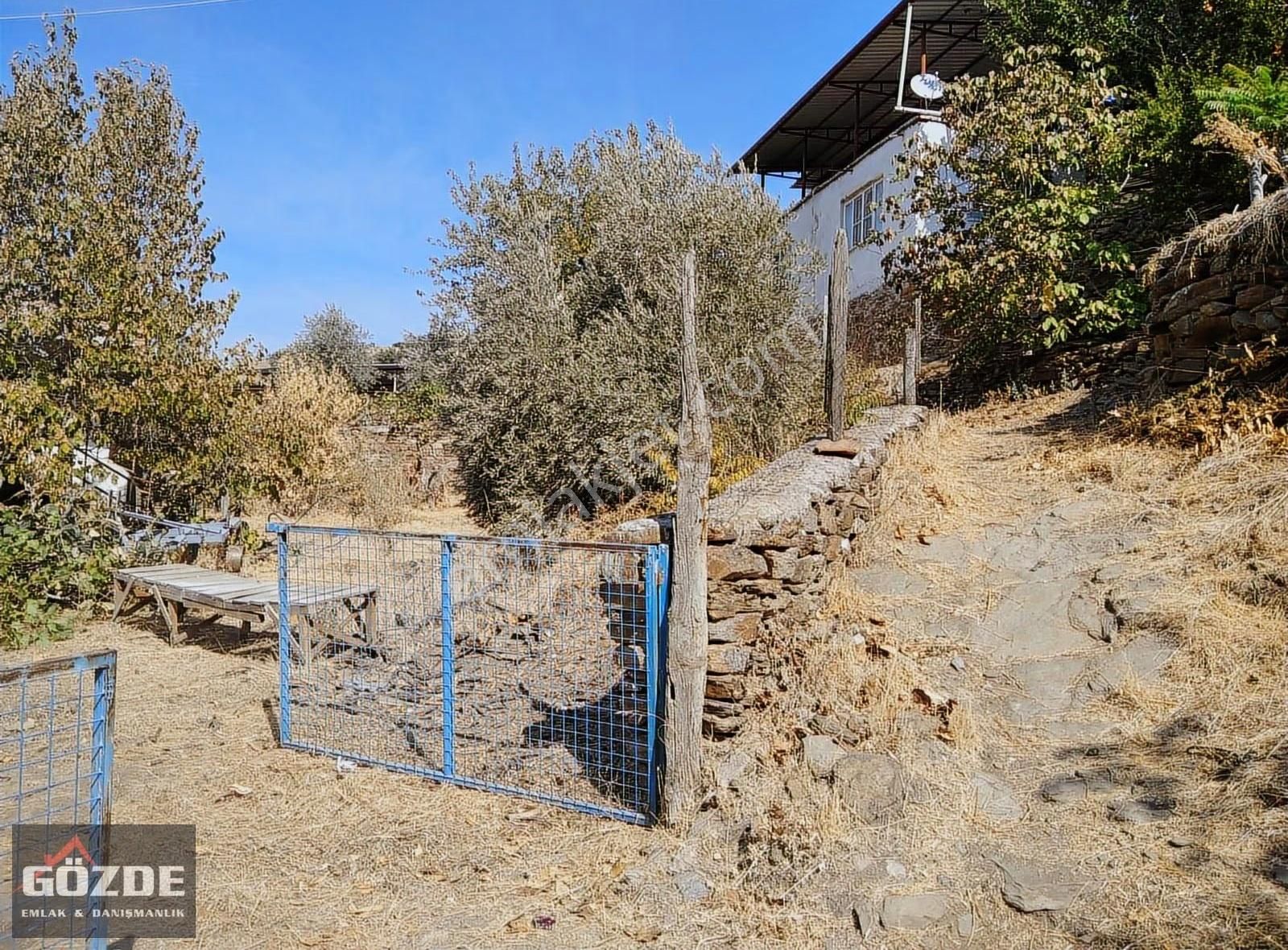 Fiyat Düştü....nazilli Sürezde (uzun Çam)de Satılık Köy Evi - Görsel 2