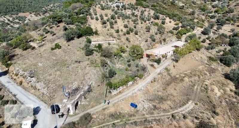 Deniz Manzaralı Köyün Yanında Kartal Yuvası Gibi Arsa