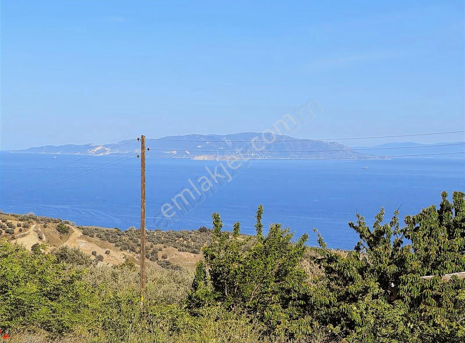 Duru Emlaktan Çınarlının En İyi Adalar Manzaralı Arsası.435 Mt - Görsel 8