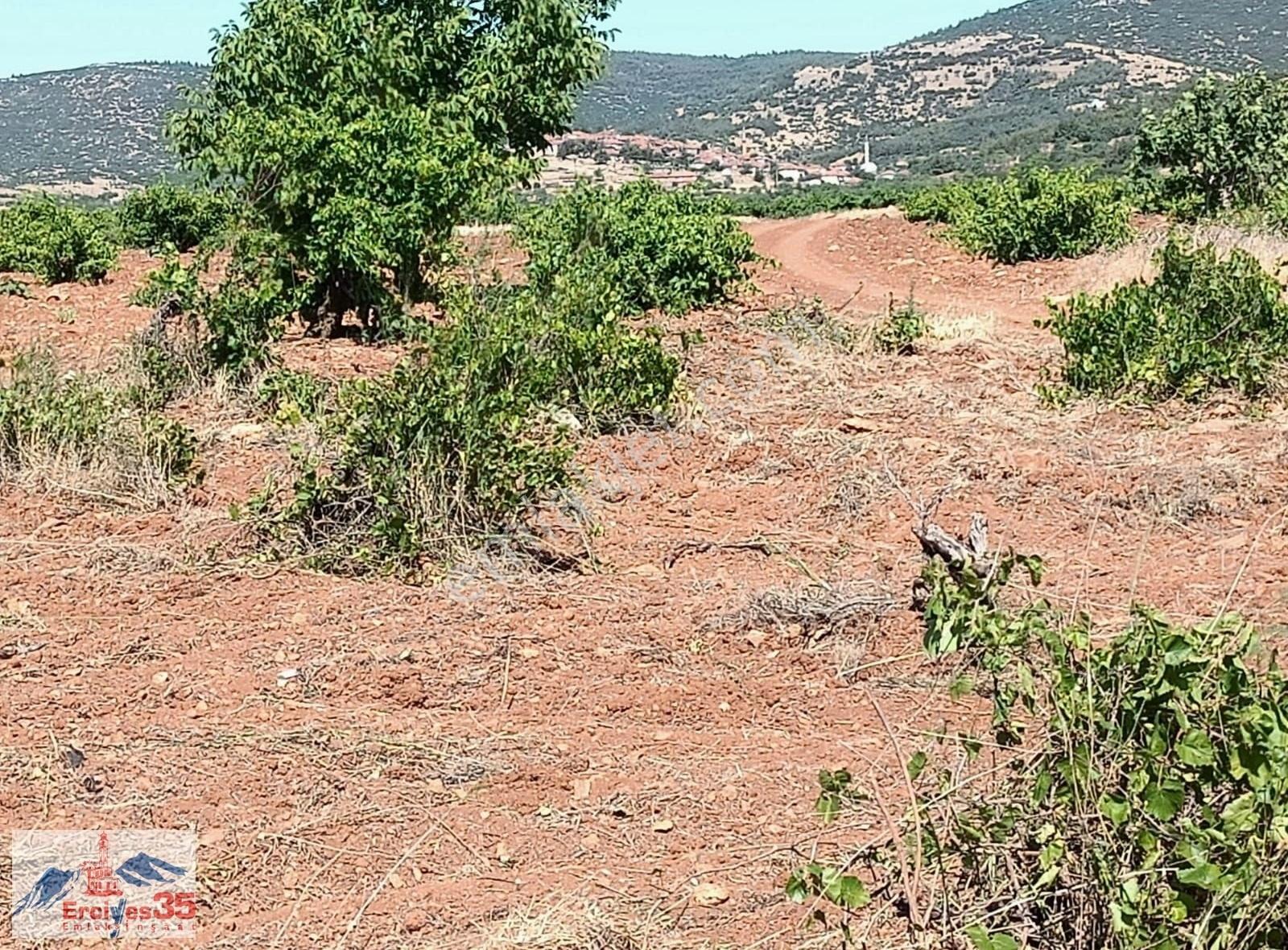 Küçük Yatirim Büyük Firsat Üzüm Bağı Tek Tapu - Görsel 3