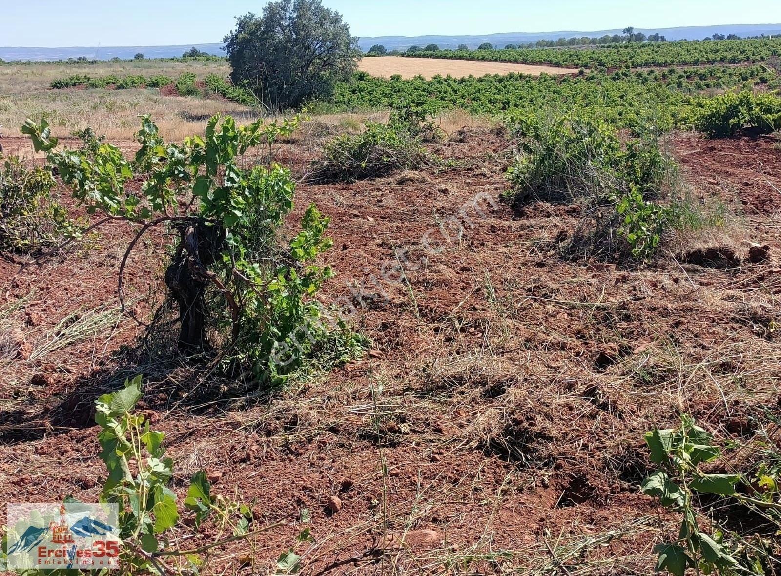 Küçük Yatirim Büyük Firsat Üzüm Bağı Tek Tapu - Görsel 12