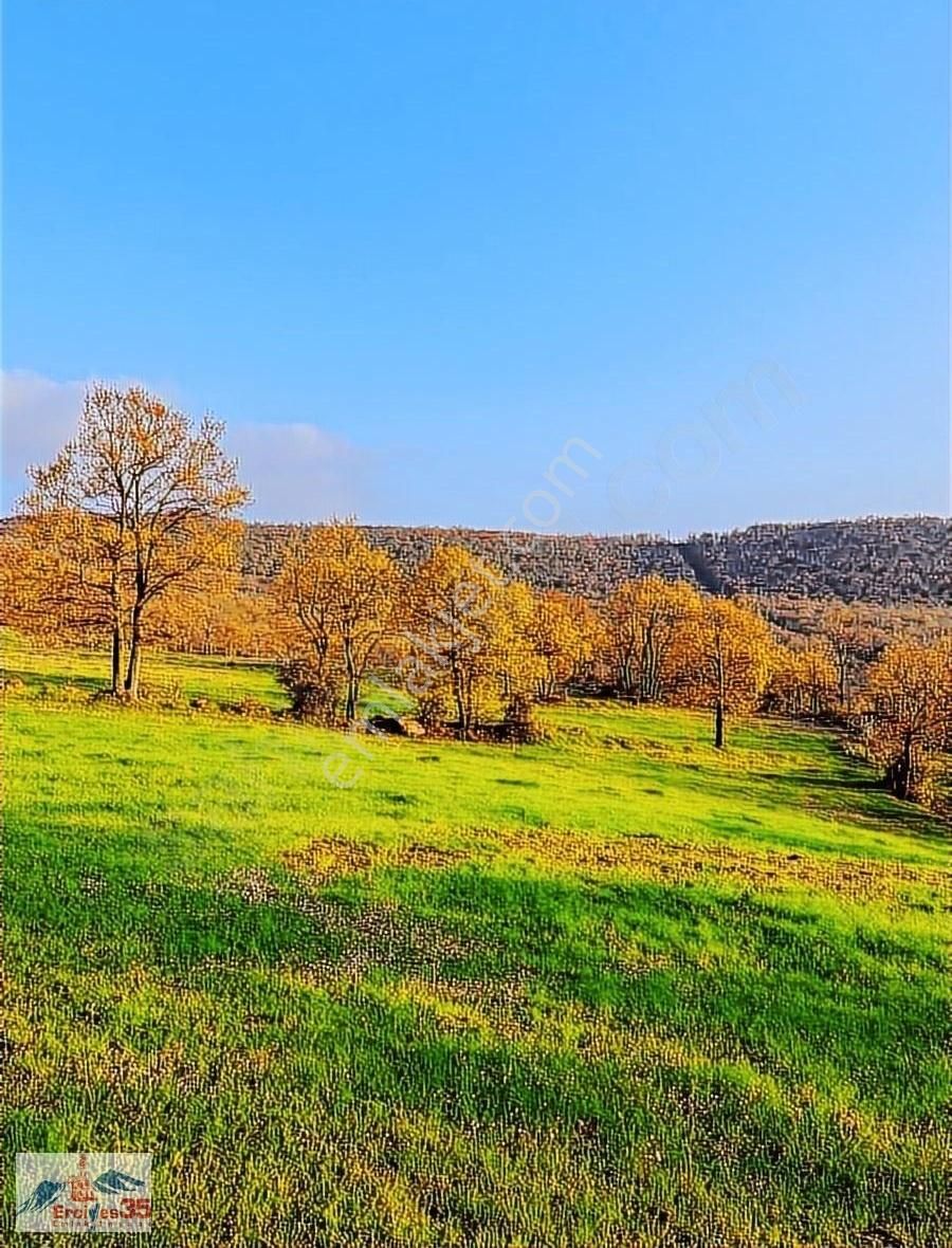 Erciyes35den Gömce'de 4645 M2 Tek Resmi Tapu Arazi - Görsel 2