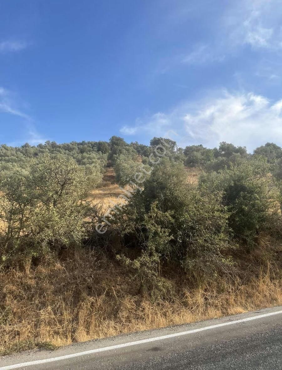 İzmir Ödemiş Bozcayaka Da 2150 M2 Köy Yakını Asfalt Cepheli - Görsel 6