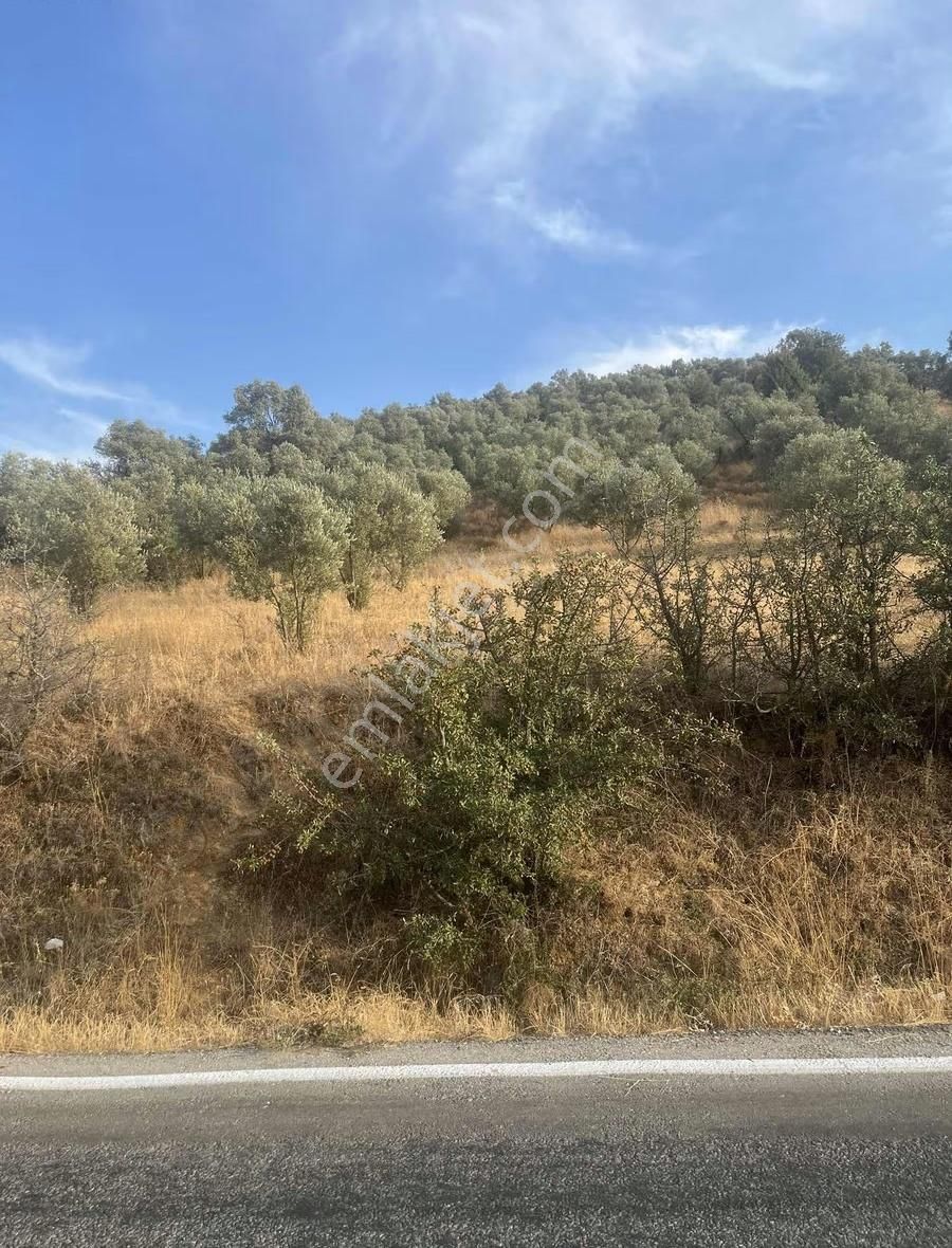 İzmir Ödemiş Bozcayaka Da 2150 M2 Köy Yakını Asfalt Cepheli - Görsel 10