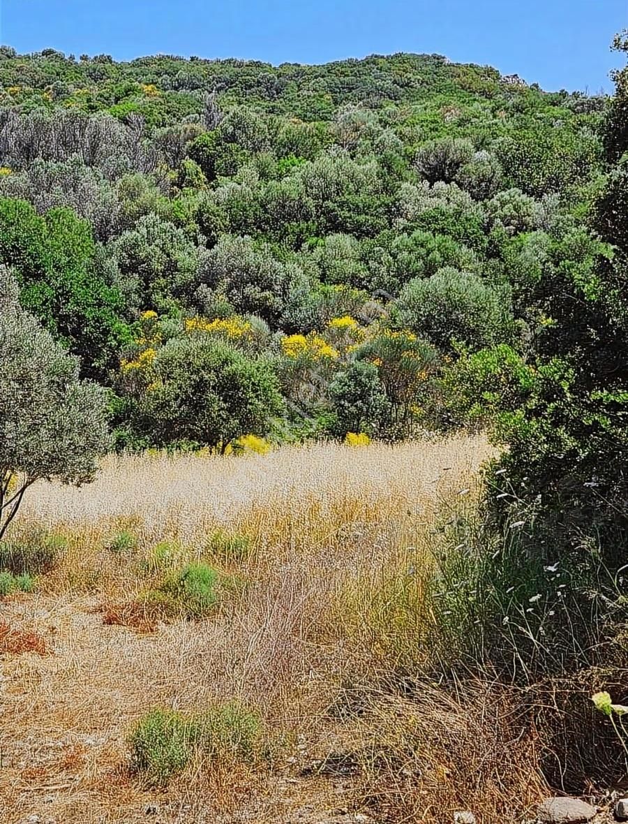 İzmir'in En Çok Değer Kazanan Bölgesinde Denize Yakın 911 M2 - Görsel 23