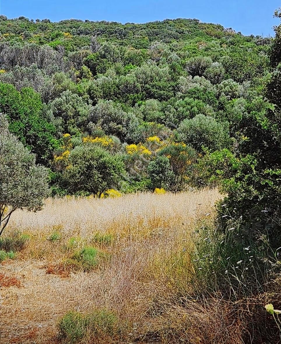 İzmir'in En Çok Değer Kazanan Bölgesinde Denize Yakın 911 M2 - Görsel 16