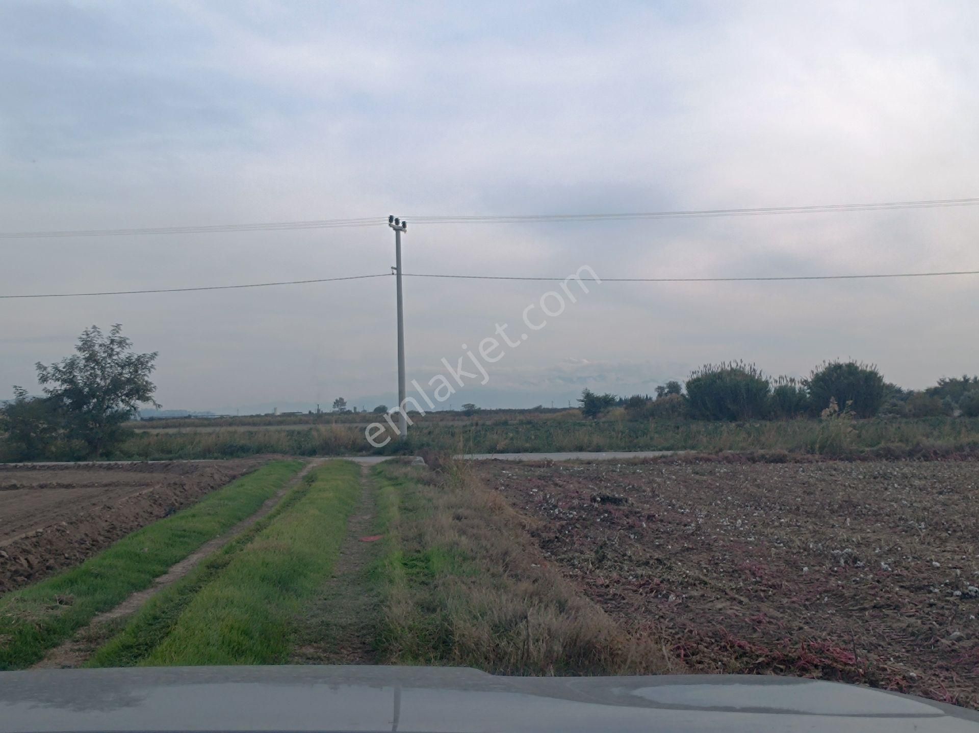 Musabey Köyünde Satılık 777 M2 Hobi Bahçesi - Görsel 8