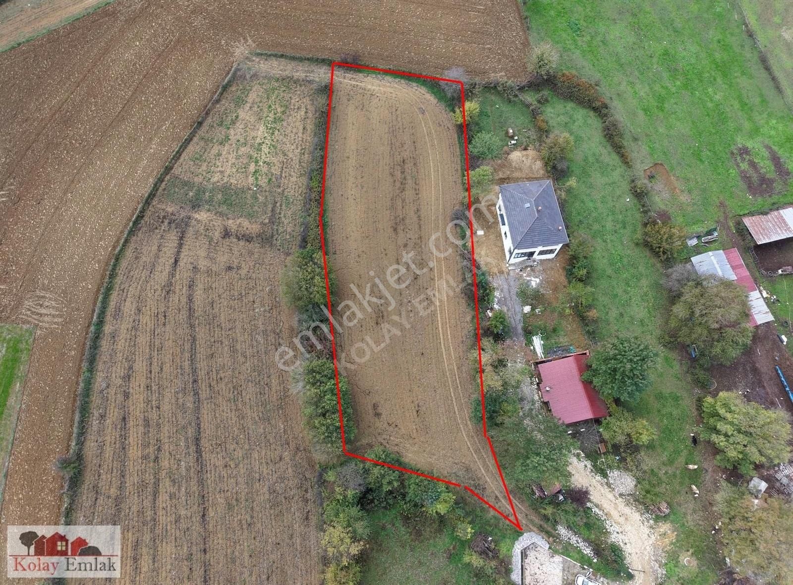 Kolay Emlak'tan Kerpede 2.576 M² Yollu Tarla Sahile 3.5 Km - Görsel 3