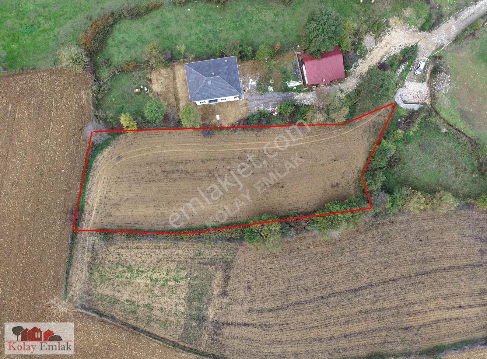 Kolay Emlak'tan Kerpede 2.576 M² Yollu Tarla Sahile 3.5 Km - Görsel 2