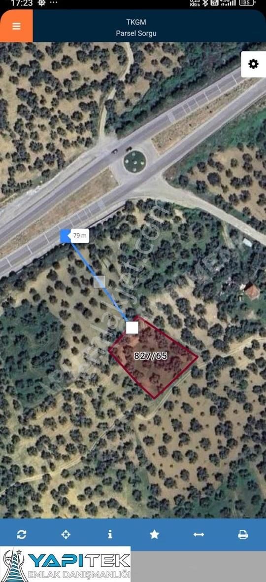 Yapıtek Gayrimenkul'den Burhaniye'de 1823m2'lik Zeytinlik