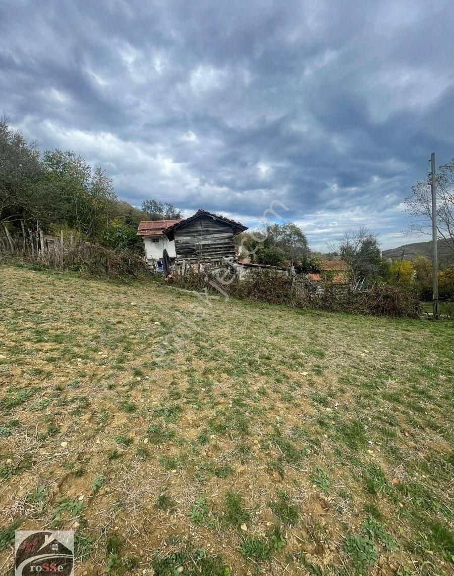 Yatırıma Uygun Geniş Arazi Portföyü – Meyve Bahçesi, Tavuk Çiftliği, Bungalov İçin Mükemmel Konum! - Görsel 6