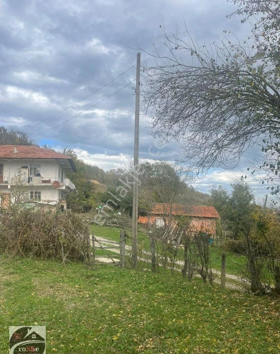 Yatırıma Uygun Geniş Arazi Portföyü – Meyve Bahçesi, Tavuk Çiftliği, Bungalov İçin Mükemmel Konum! - Görsel 3