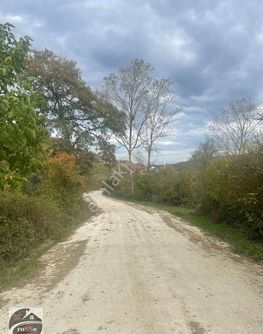 Yatırıma Uygun Geniş Arazi Portföyü – Meyve Bahçesi, Tavuk Çiftliği, Bungalov İçin Mükemmel Konum!