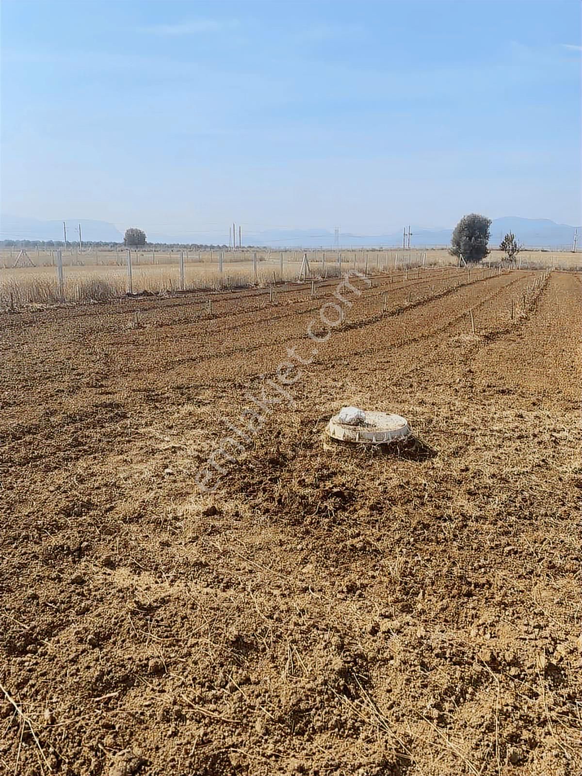 Tekelli De 1980 M2 Caddeye İzbana Yakın Tam Yatırımlık Tarla - Görsel 13
