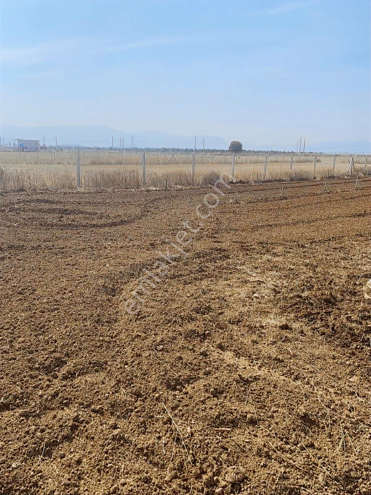 Tekelli De 1980 M2 Caddeye İzbana Yakın Tam Yatırımlık Tarla - Görsel 23
