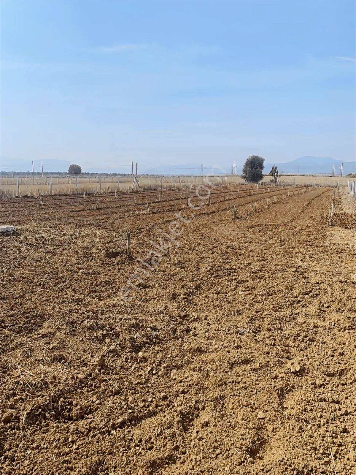 Tekelli De 1980 M2 Caddeye İzbana Yakın Tam Yatırımlık Tarla - Görsel 22