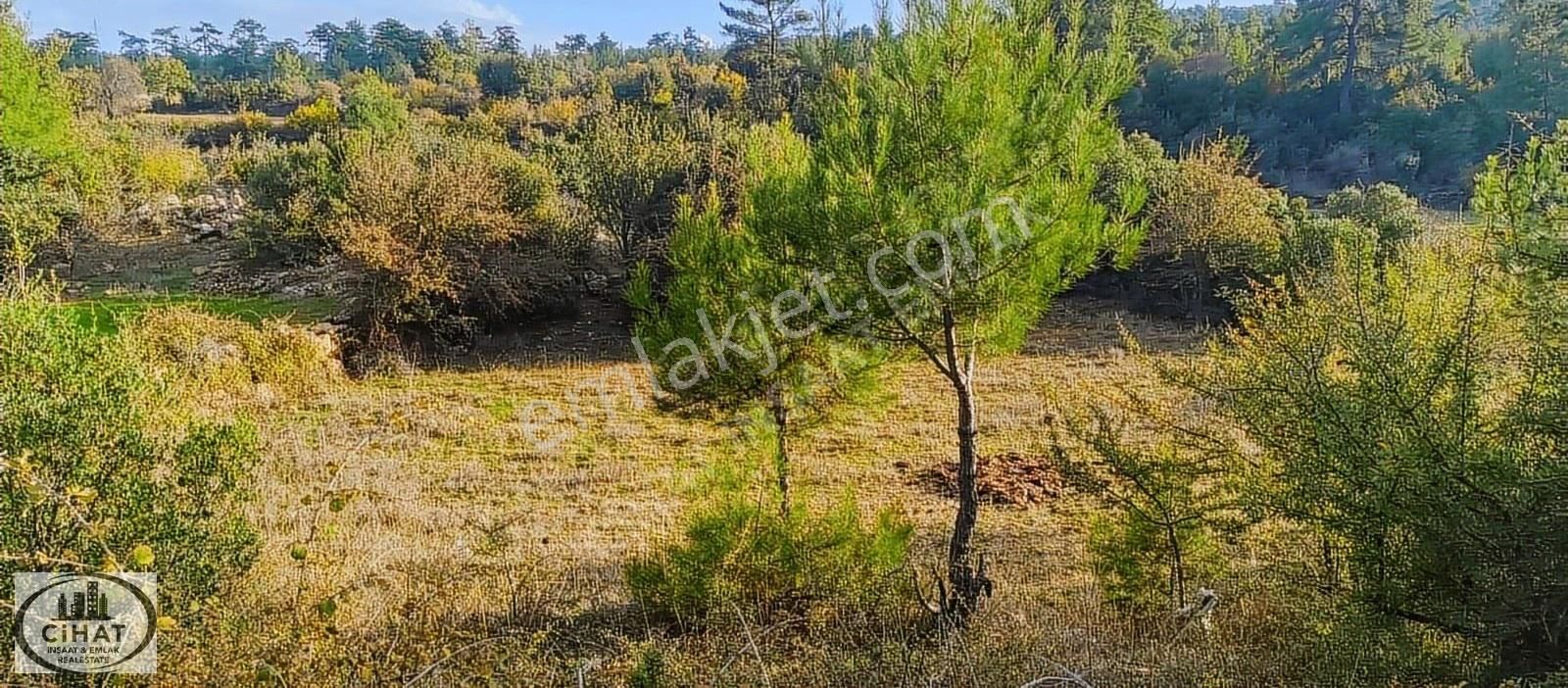 Cihat İnşaat Emlak Tan Kıran Satılık Tarla - Görsel 20