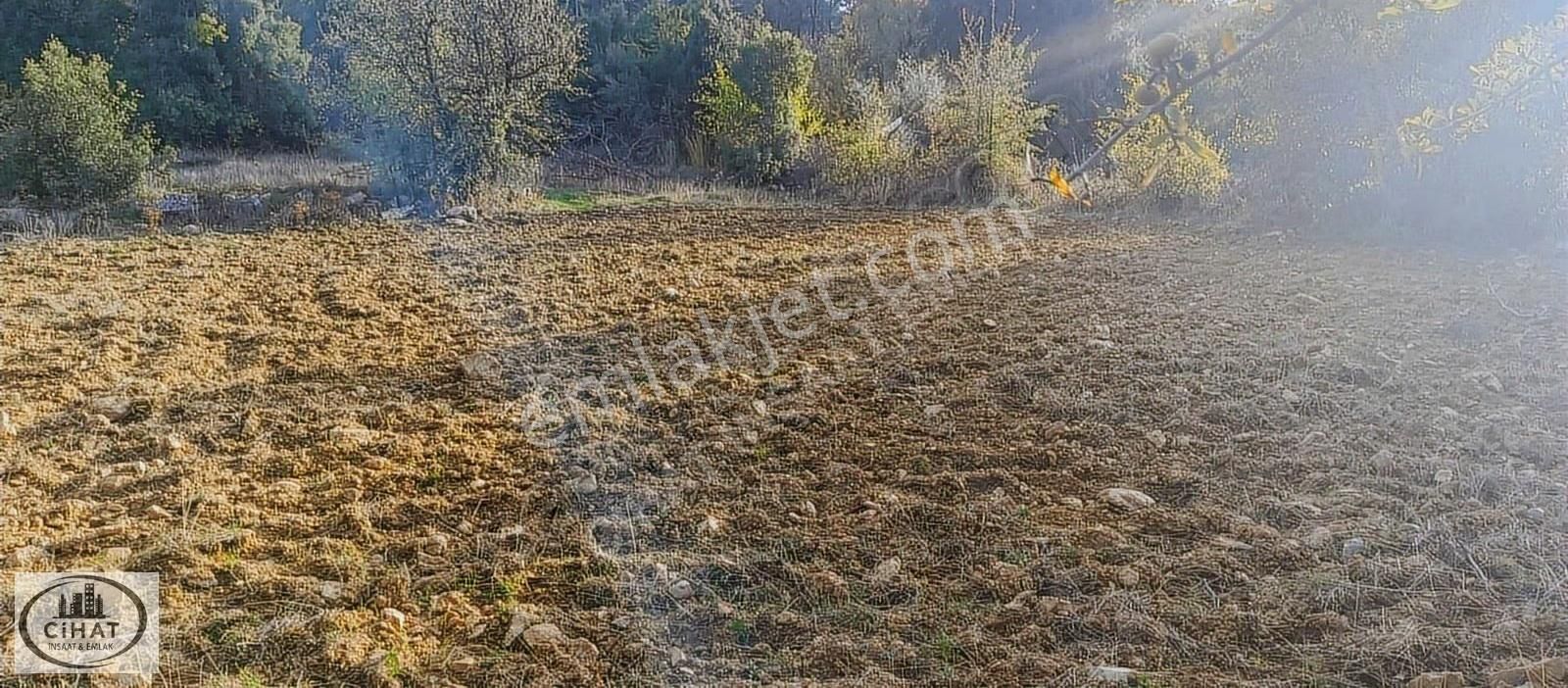 Cihat İnşaat Emlak Tan Kıran Satılık Bahçe - Görsel 3