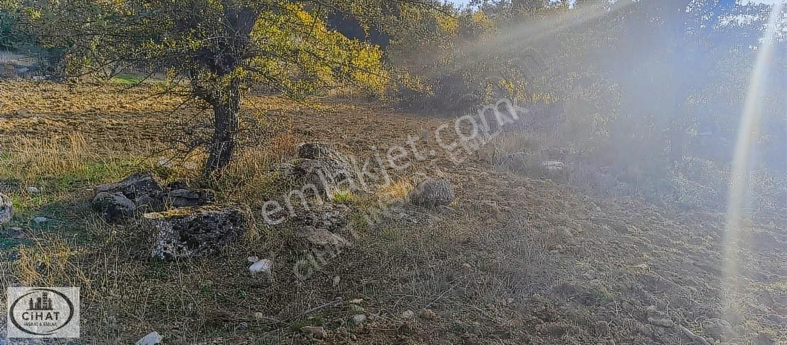 Cihat İnşaat Emlak Tan Kıran Satılık Bahçe - Görsel 20