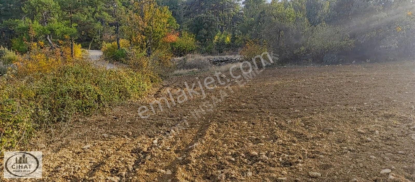 Cihat İnşaat Emlak Tan Kıran Satılık Bahçe - Görsel 15