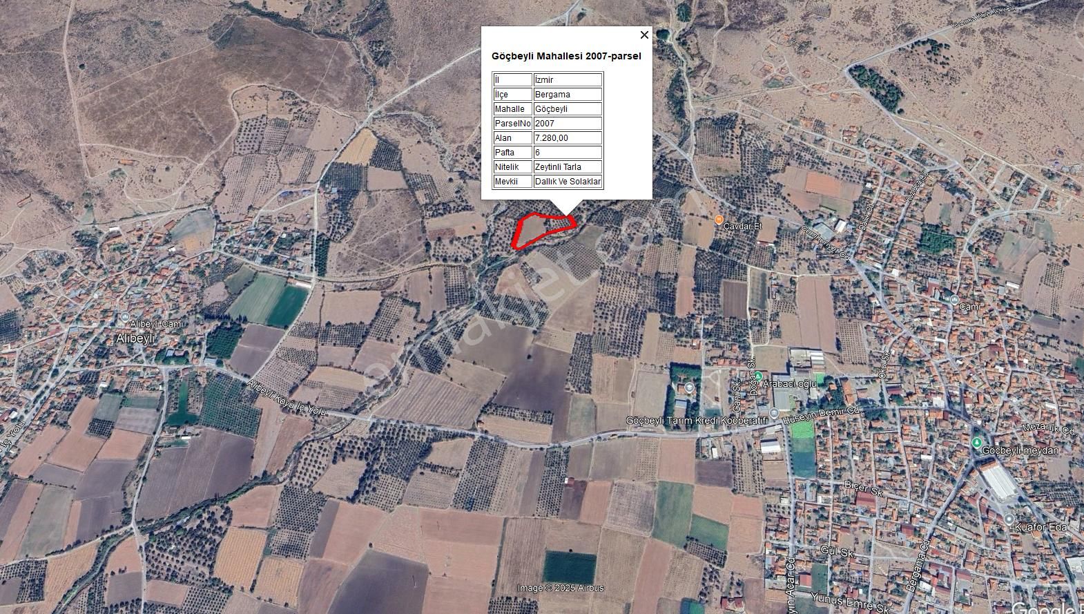 Göçbeyliye 650 Metre Mesafede 7280 M2 Zeytinlik - Görsel 2
