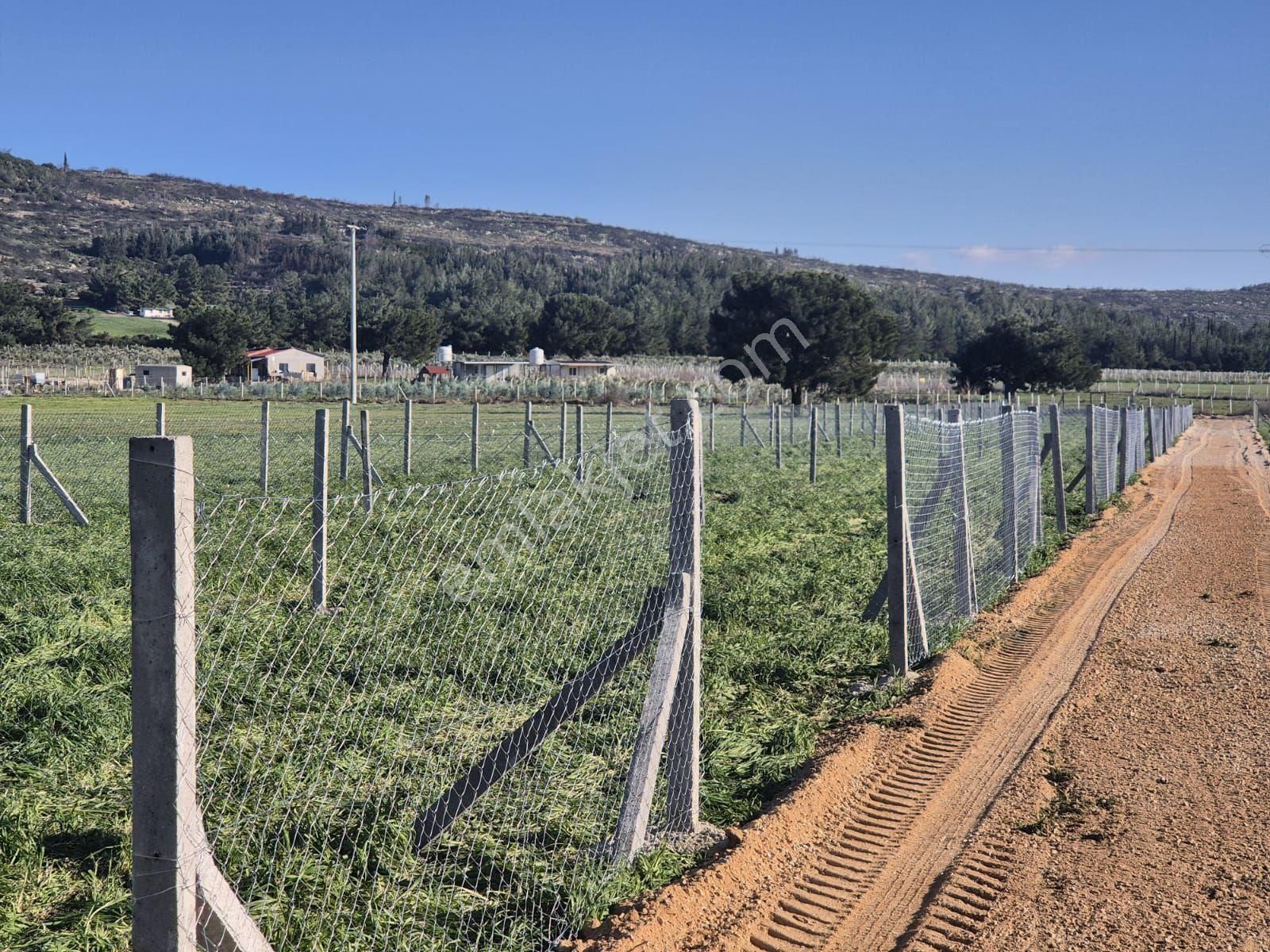 Satılık Resmi Tapulu Menderes Te - Görsel 6