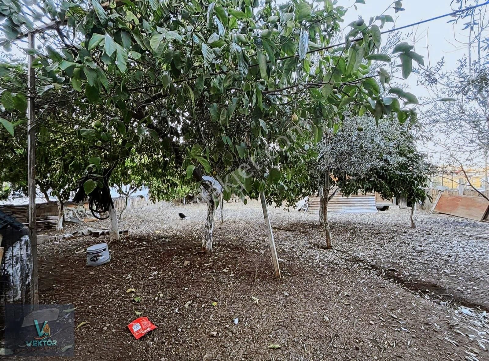 Karslılarda 600 M2 Arsa İçinde Satılık 4 Katlı Ev - Görsel 4