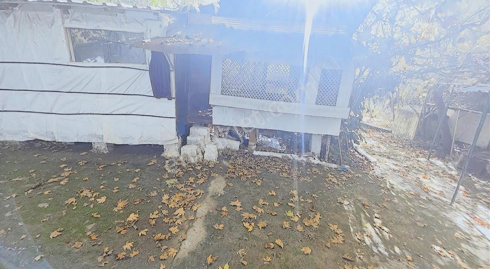 Edremit Merkeze 7 Km 19.911 M2 Zeytinlik Fıstık Çamı - Görsel 9