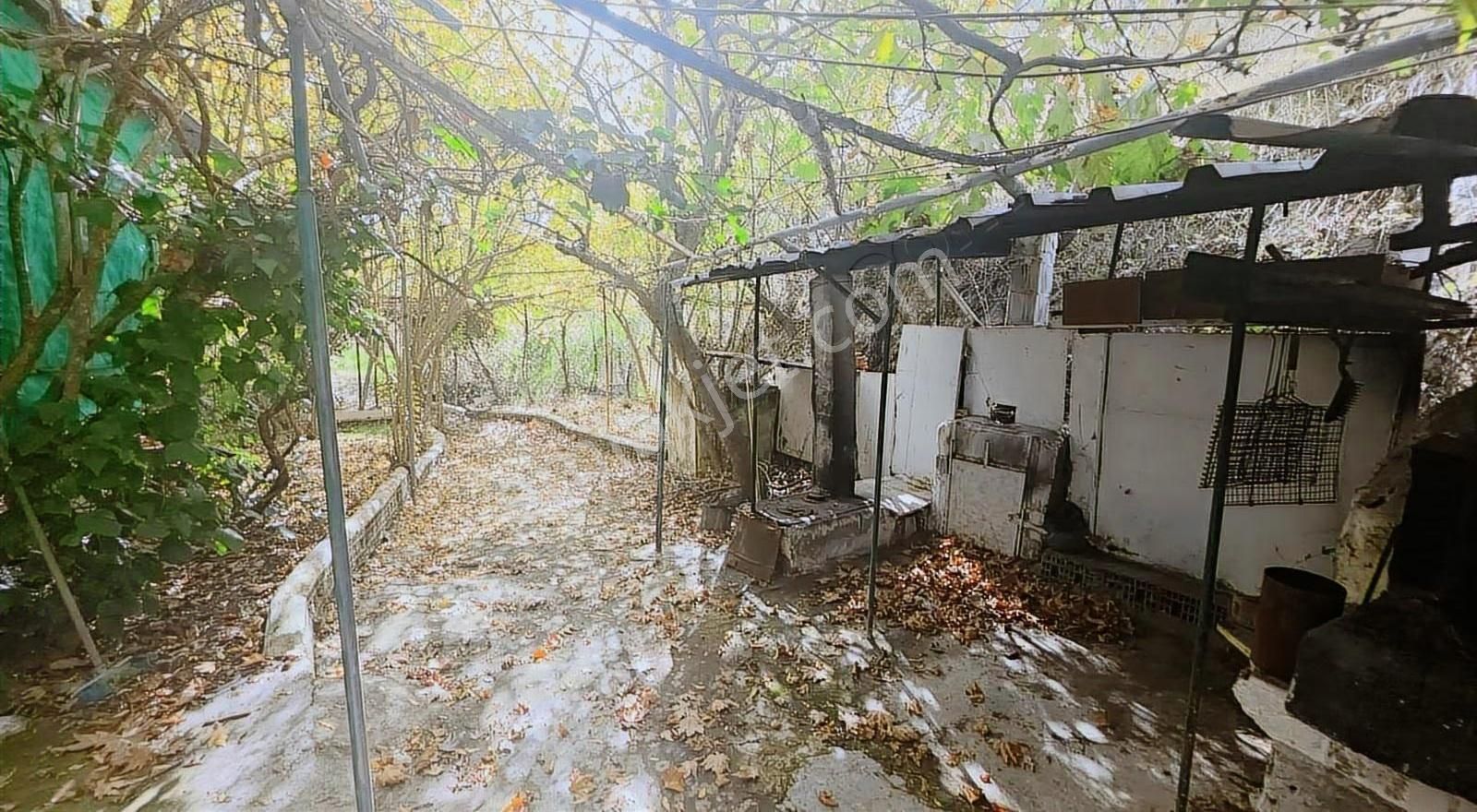 Edremit Merkeze 7 Km 19.911 M2 Zeytinlik Fıstık Çamı - Görsel 29