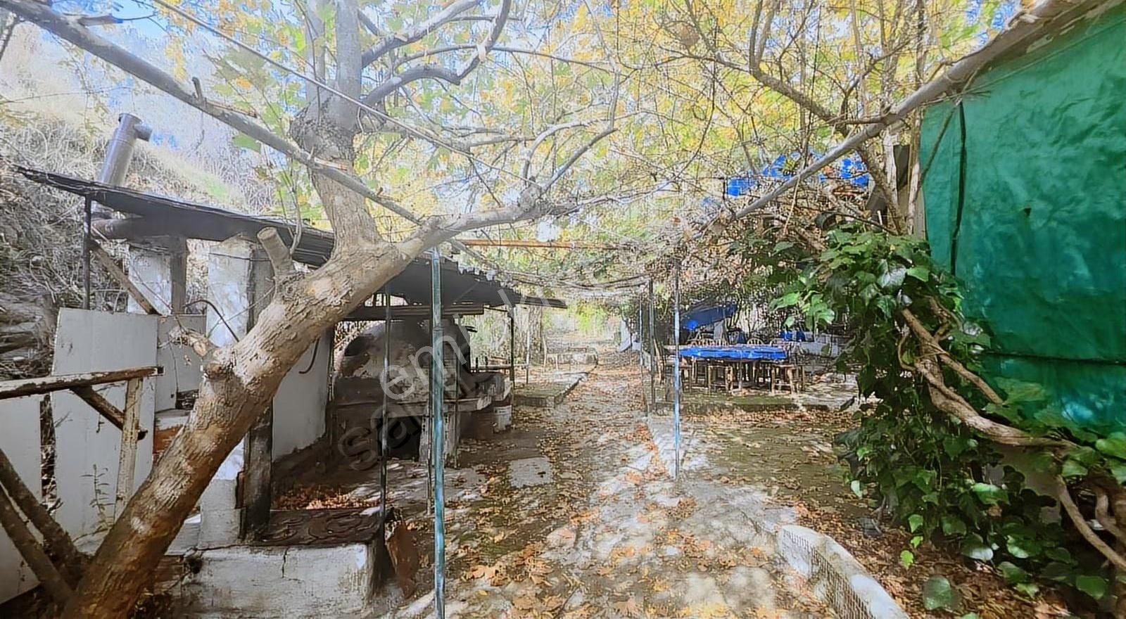 Edremit Merkeze 7 Km 19.911 M2 Zeytinlik Fıstık Çamı - Görsel 28